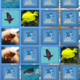 There are a lot of games in the app store available for entertaining young kids but the majority of them aren’t ideal for kids or parents. I built a simple...
